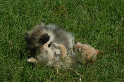 Jun4_06_390.JPG