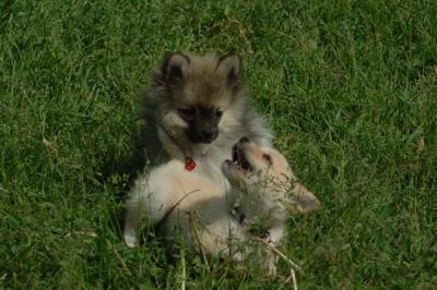 Jun4_06_391.JPG