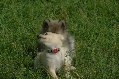 Jun4_06_392.JPG