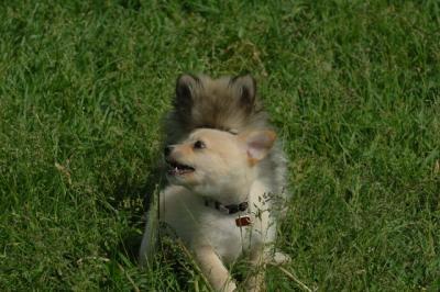 Jun4_06_393.JPG