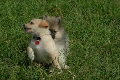 Jun4_06_394.JPG