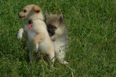 Jun4_06_395.JPG
