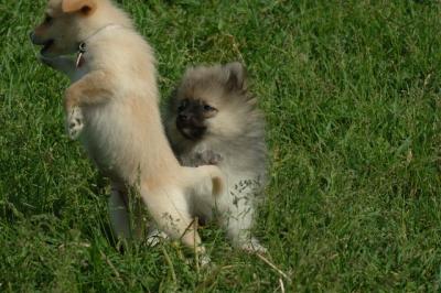 Jun4_06_396.JPG