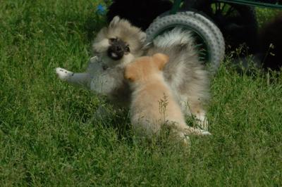 Jun4_06_398.JPG