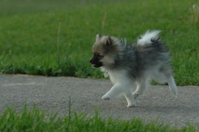 Jun4_06_400.JPG