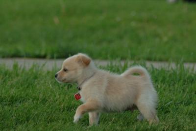 Jun4_06_409.JPG