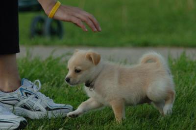 Jun4_06_410.JPG
