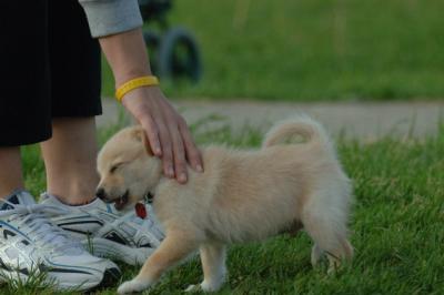 Jun4_06_411.JPG