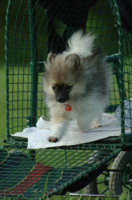 Jun4_06_415.JPG