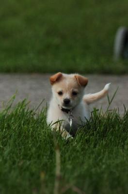 Jun4_06_142.JPG