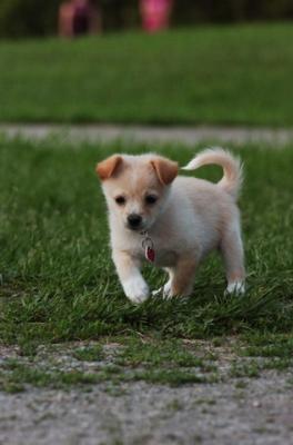 Jun4_06_149.JPG