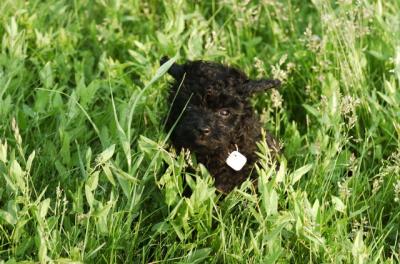 Jun4_06_156.JPG