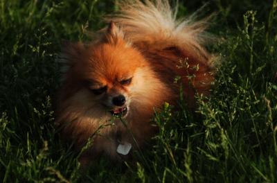 Jun4_06_163.JPG