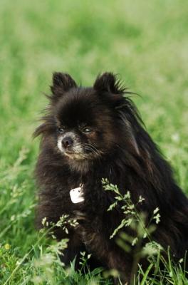 Jun4_06_215.JPG