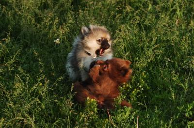 Jun4_06_251.JPG