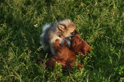 Jun4_06_252.JPG