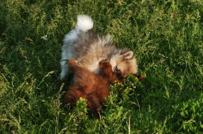 Jun4_06_254.JPG
