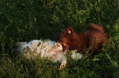Jun4_06_257.JPG