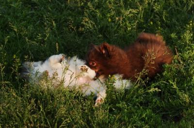Jun4_06_258.JPG