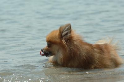 June8_06_285.JPG