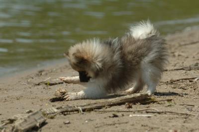 June8_06_298.JPG