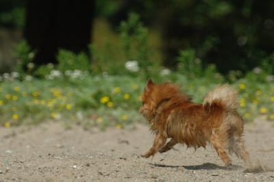 June8_06_349.JPG