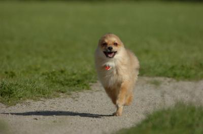 June10_06_096.JPG