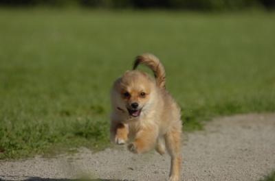 June10_06_097.JPG