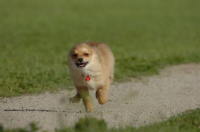 June10_06_098.JPG