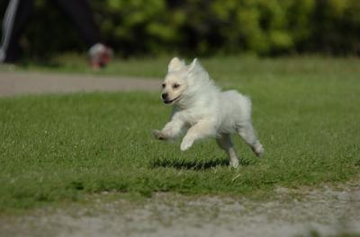 June10_06_136.JPG