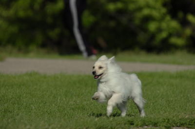 June10_06_138.JPG