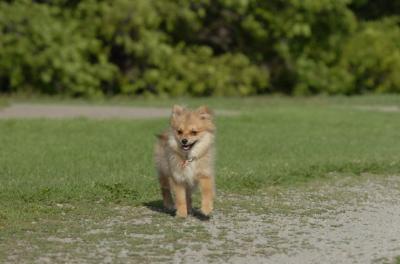 June10_06_165.JPG