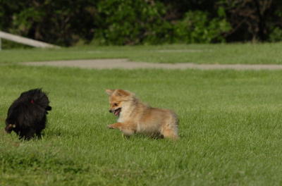 June10_06_169.JPG