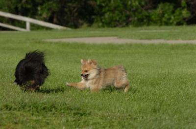 June10_06_170.JPG