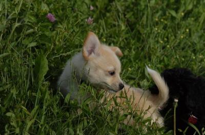 June10_06_174.jpg