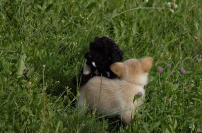 June10_06_178.JPG