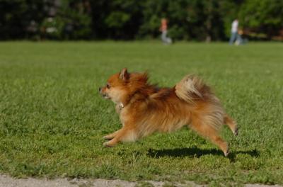 June10_06_039.JPG