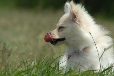 June13_06_114.JPG