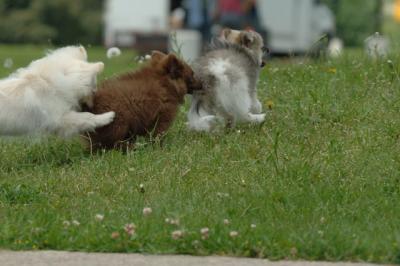 June13_06_124.JPG