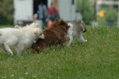 June13_06_125.JPG