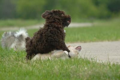 June13_06_138.JPG