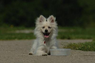 June14_06_416.JPG