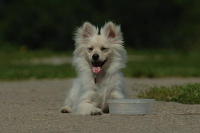 June14_06_417.JPG