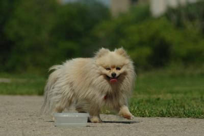 June14_06_456.JPG