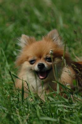 June14_06_461.JPG