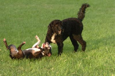 June14_06_210.JPG