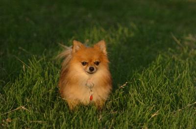June14_06_213.JPG