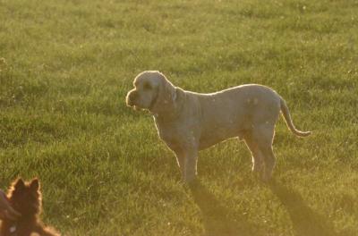 June14_06_216.JPG