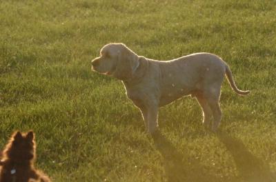 June14_06_217.JPG