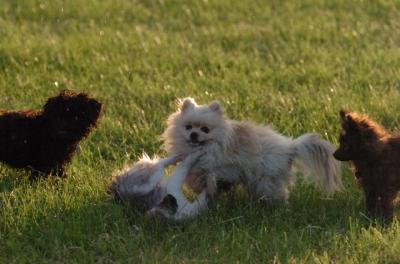 June14_06_229.JPG